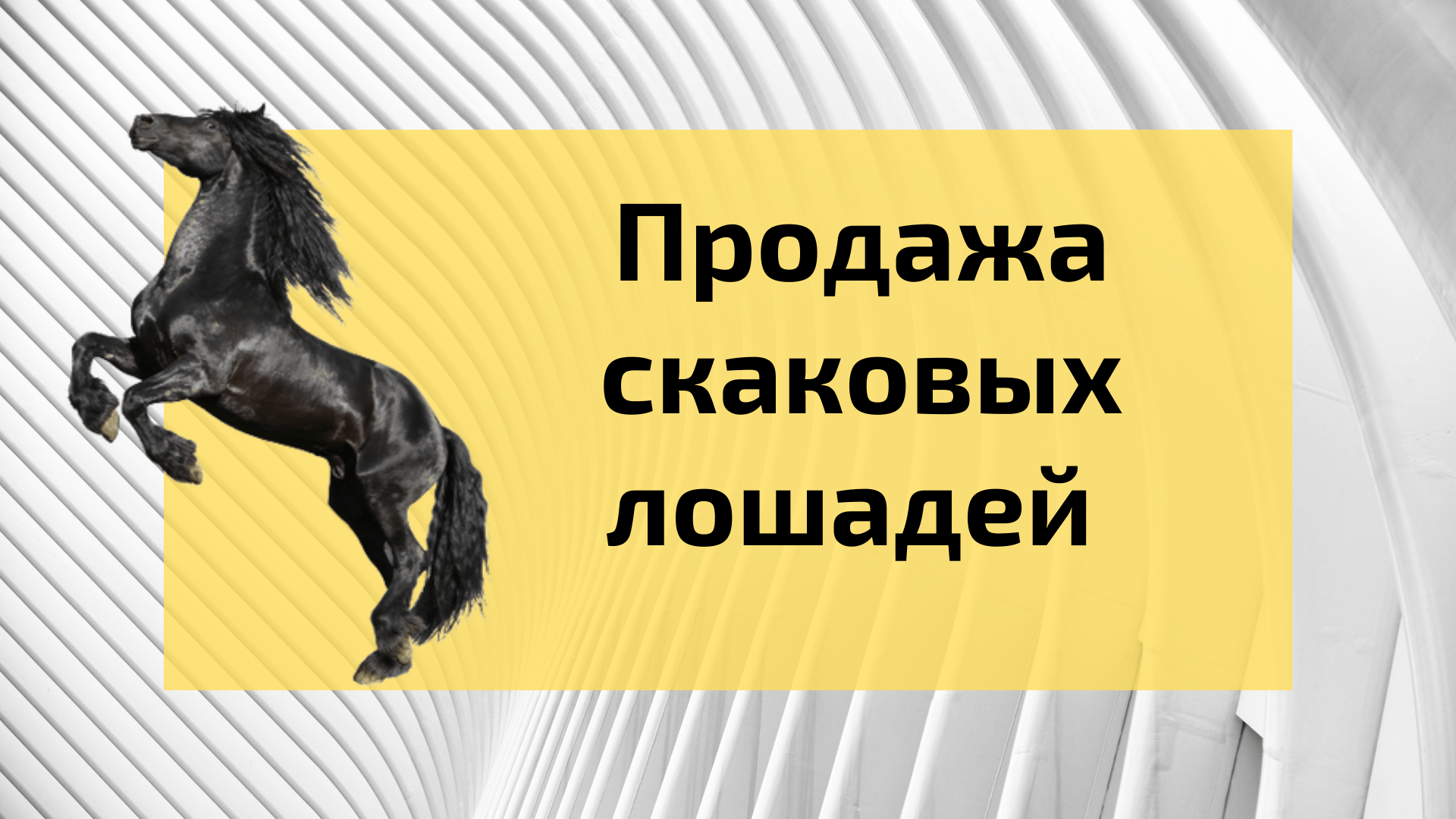 Кейс- продаём скаковых лошадей в интернете, через контекст и таргет